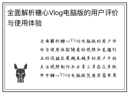 全面解析糖心Vlog电脑版的用户评价与使用体验